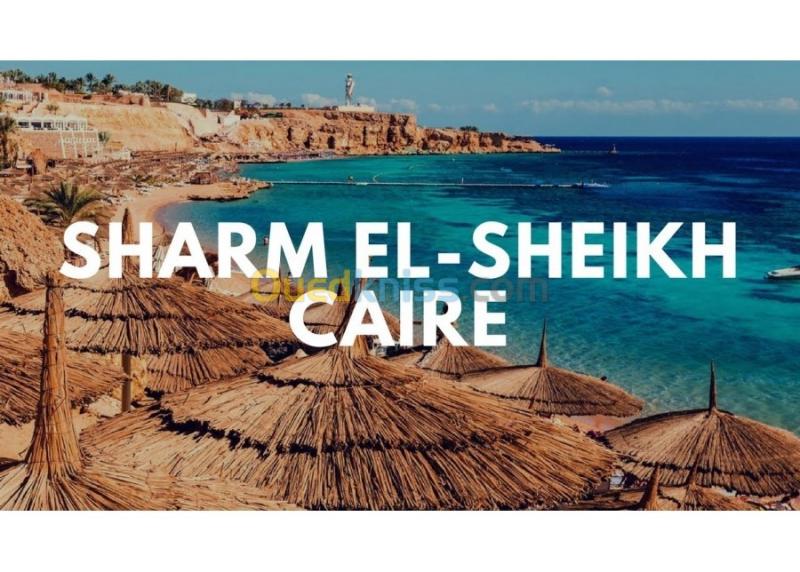  SHARM EL SHEIKH/CAIRE