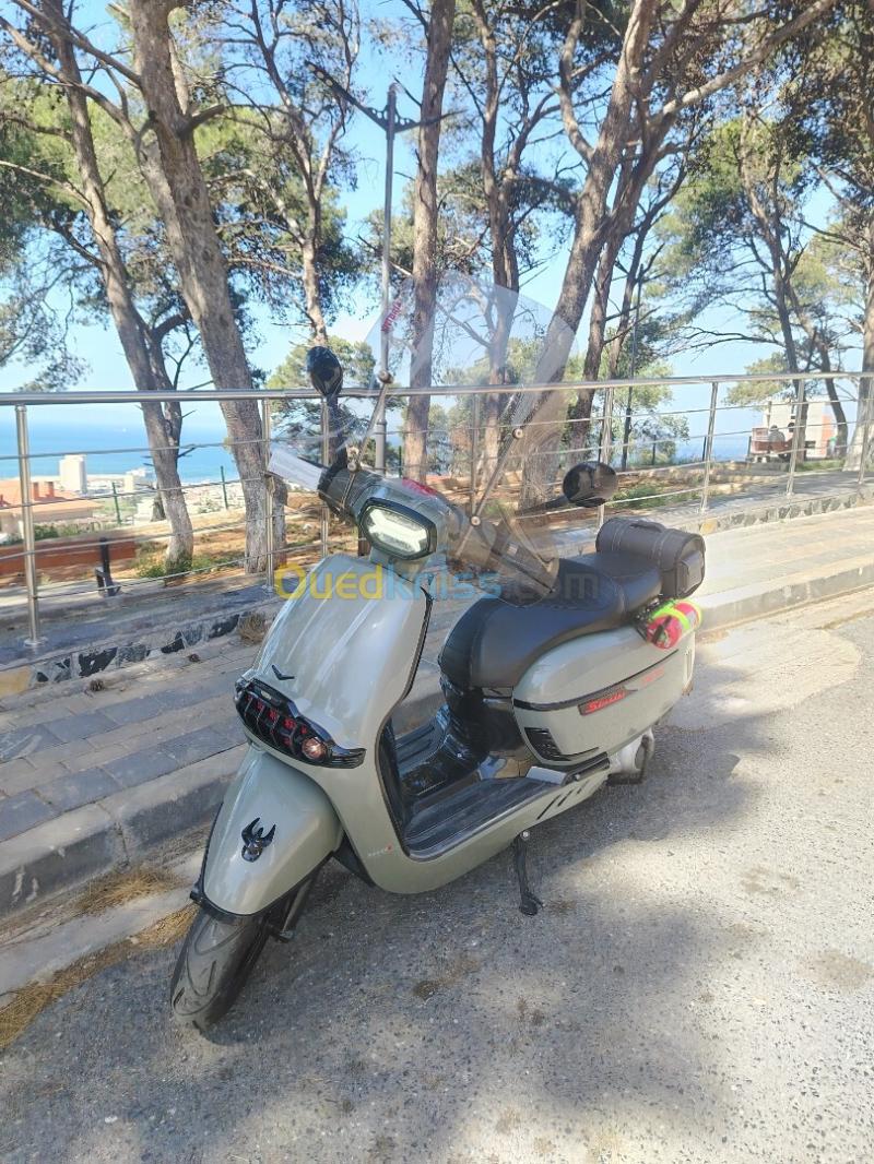 Vms Victoria 300cc 2024 4