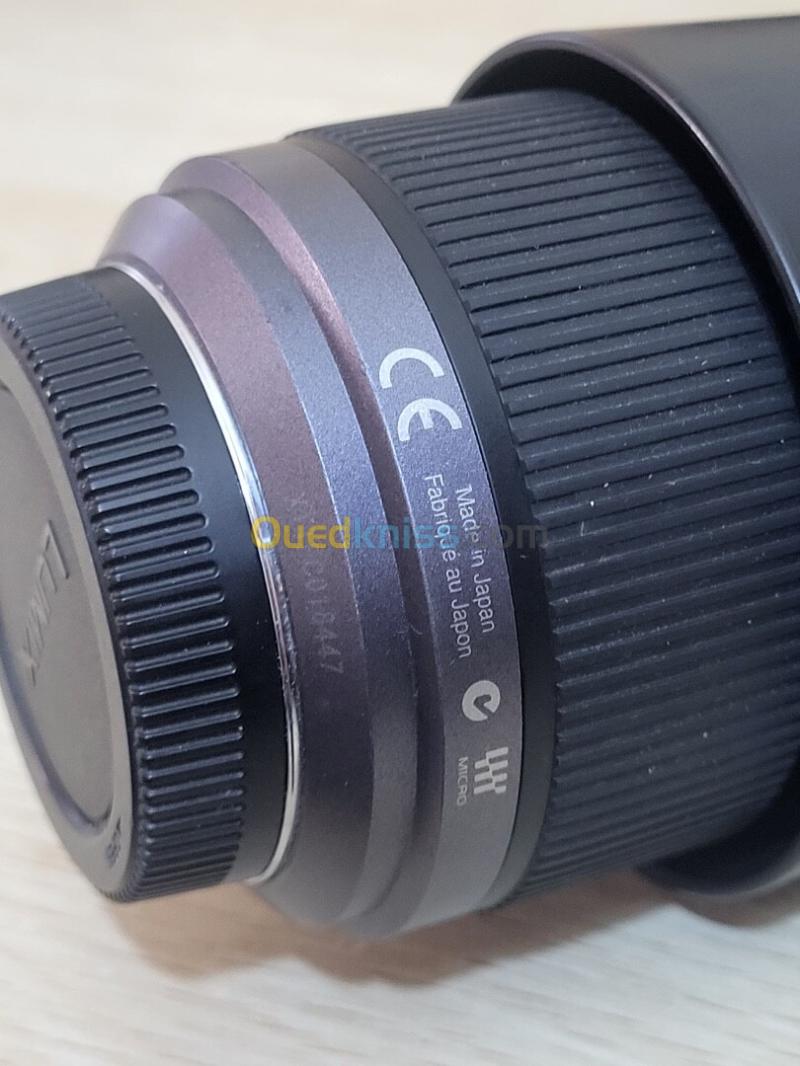 Panasonic Lumix G Vario 45-200mm f/4-5.6 Mega OIS 10