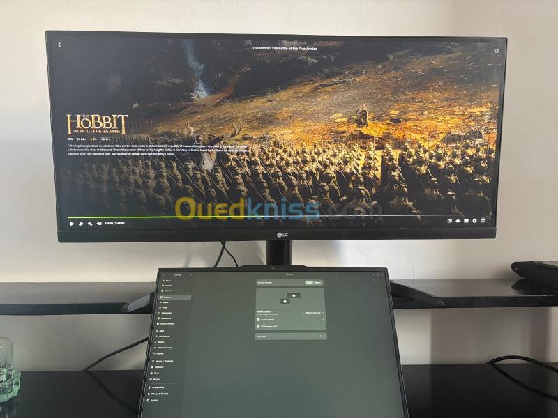 LG UltraWide 29" neuf IPS 100Hz 2560x1080 HDR haut-parleurs usb-c 4