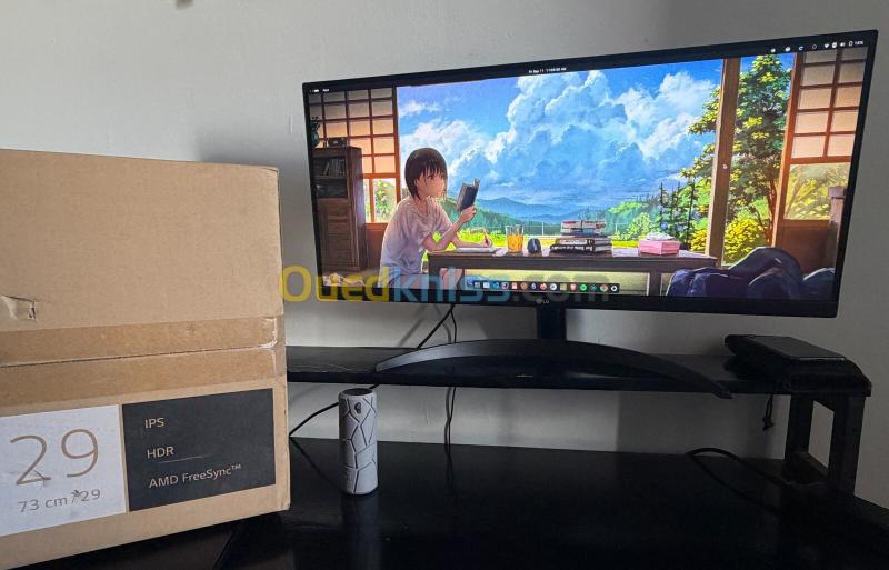 LG UltraWide 29" neuf IPS 100Hz 2560x1080 HDR haut-parleurs usb-c 3