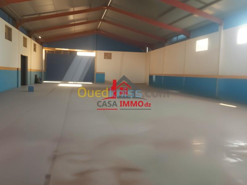 Location Hangar - Usine Blida Guerrouaou