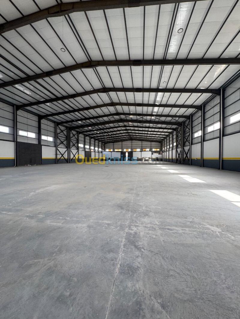 Location Hangar - Usine Alger Birtouta