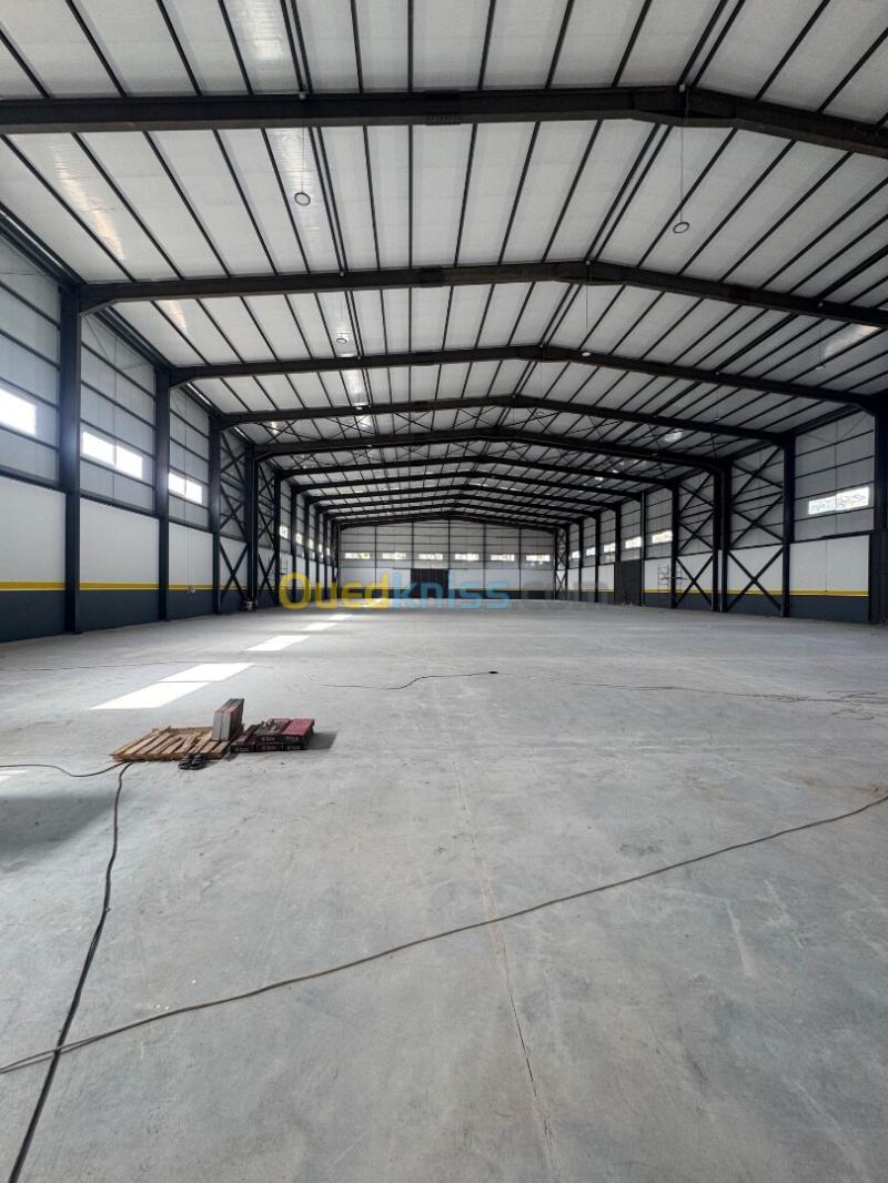 Location Hangar - Usine Alger Birtouta 2