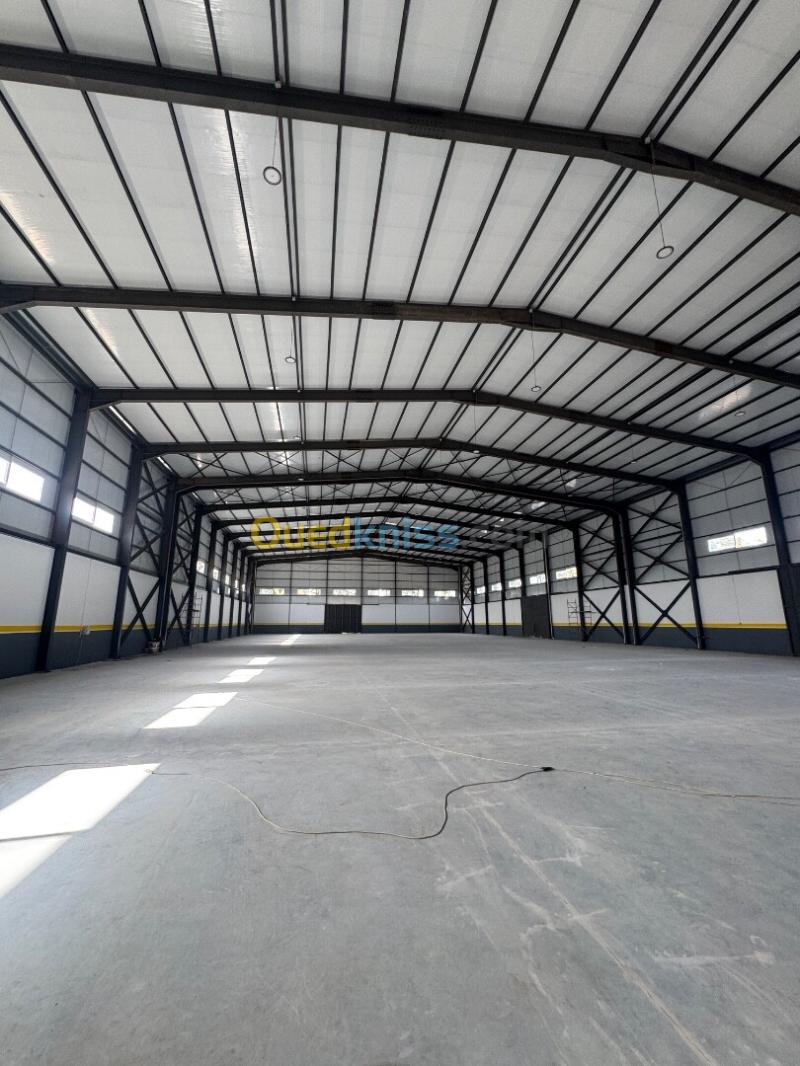 Location Hangar - Usine Alger Birtouta 4