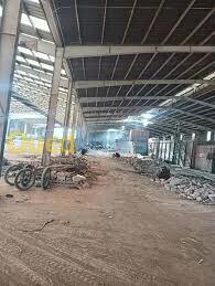 Vente Hangar - Usine Oran Ben freha