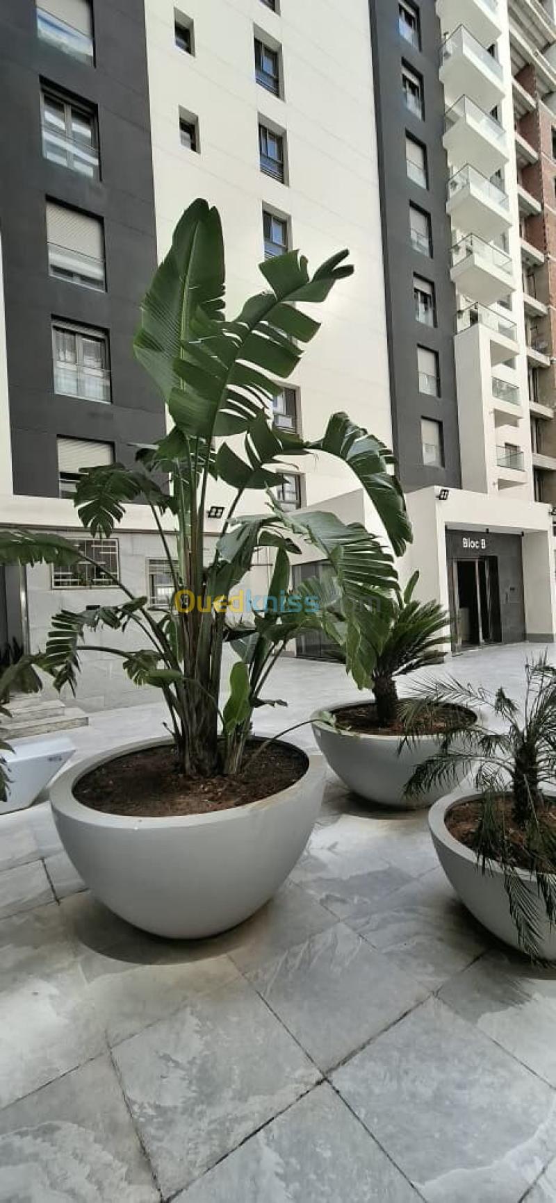Location Appartement F2 Oran Oran 32