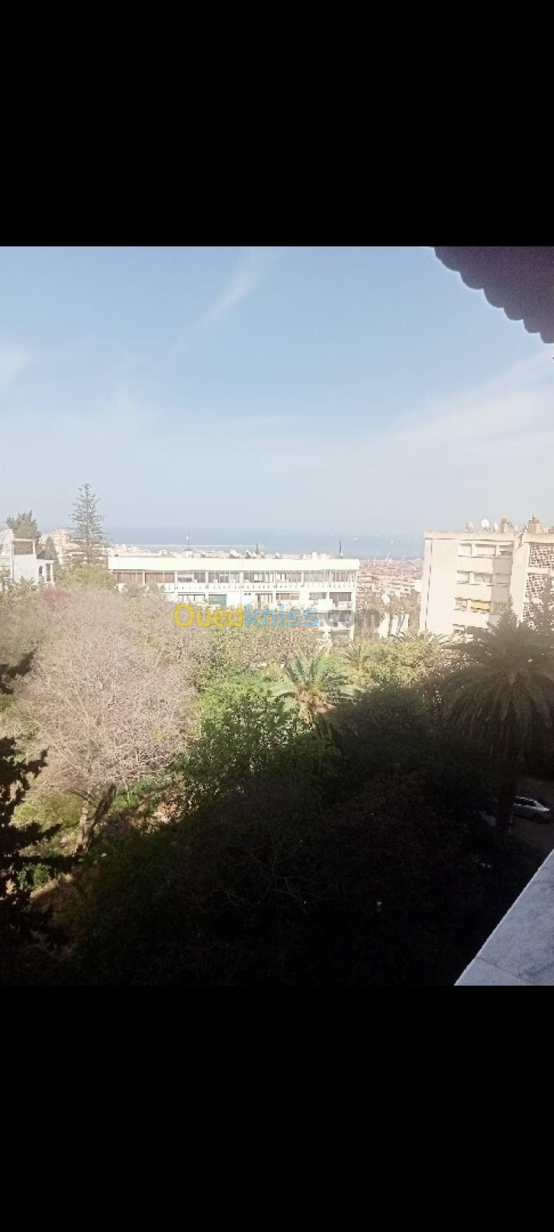 Location Appartement F3 Alger El biar 17