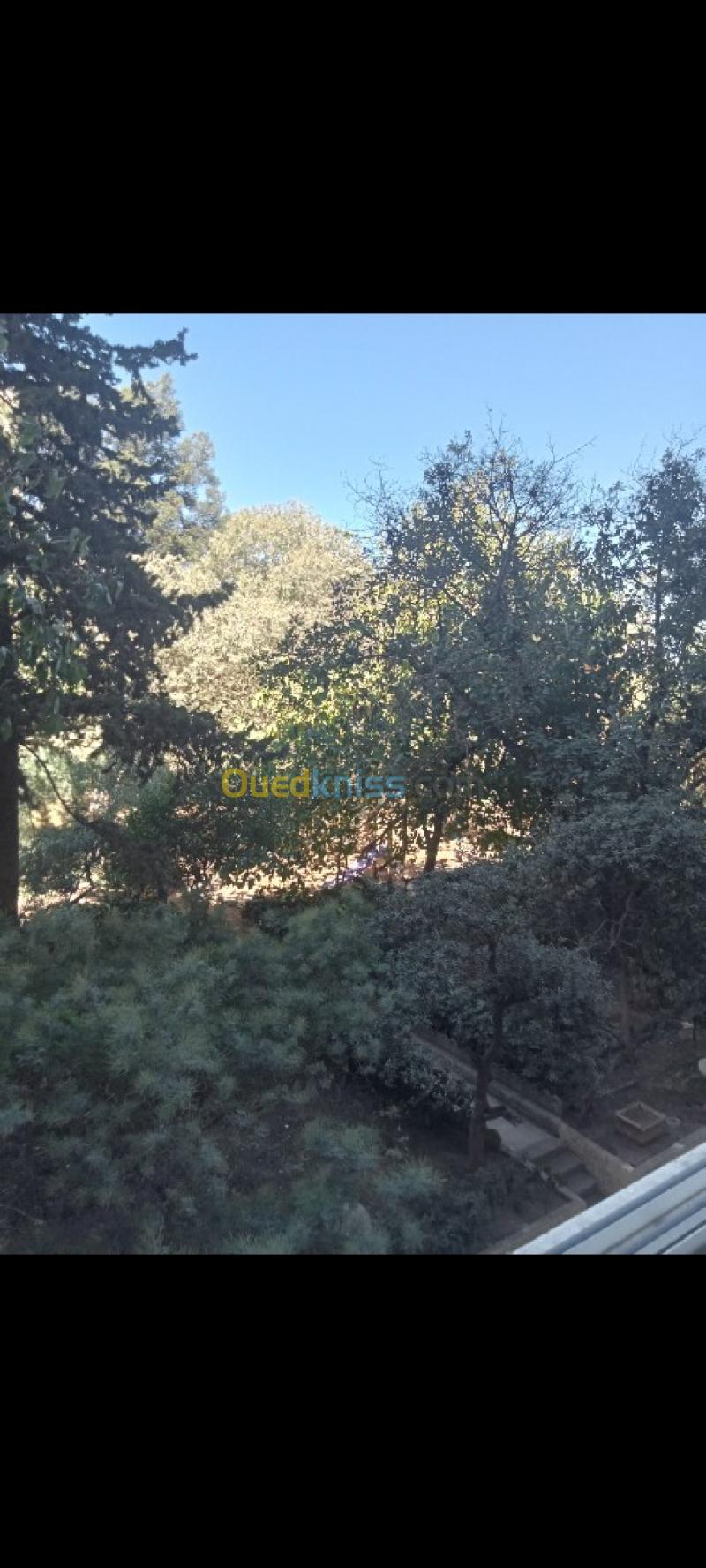 Location Appartement F3 Alger El biar 10