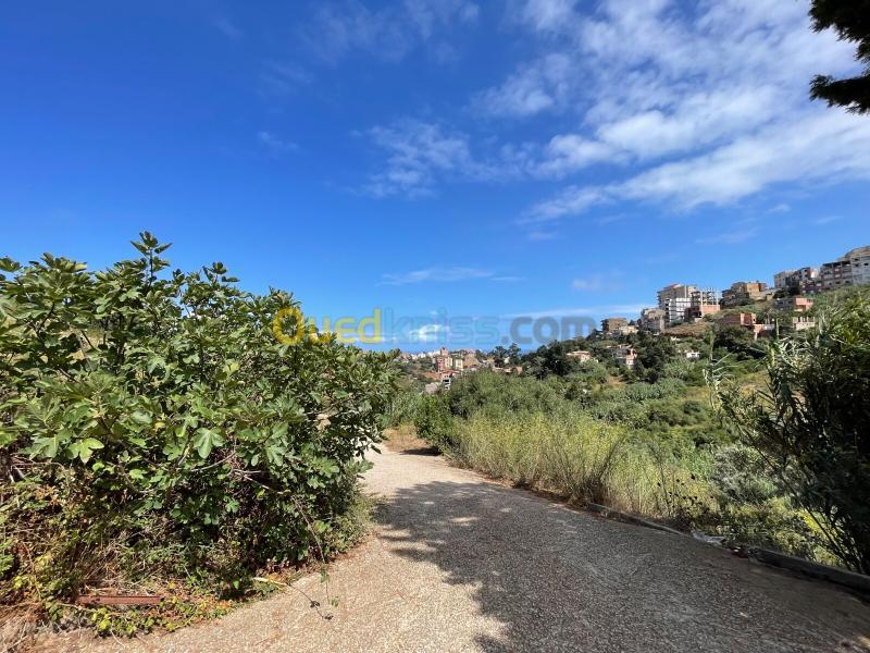 Vente Terrain Alger Bouzareah 4