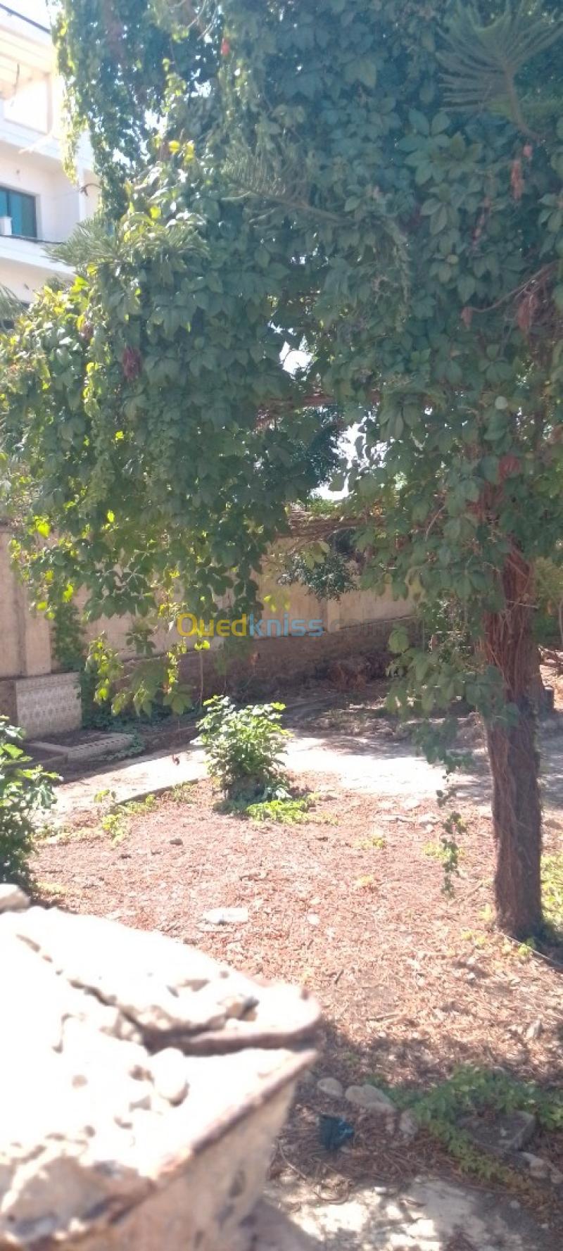 Vente Villa Alger El marsa 4