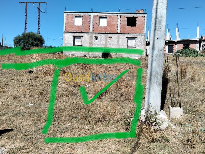 Vente Terrain Boumerdès El kharrouba 5