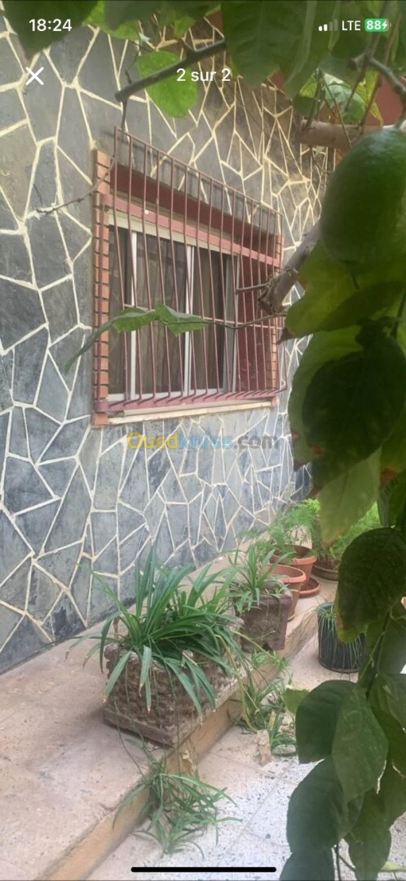 Vente Villa Chlef Chlef 3
