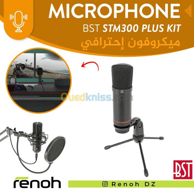  Microphone Professional BST STM300 PLUS Kit