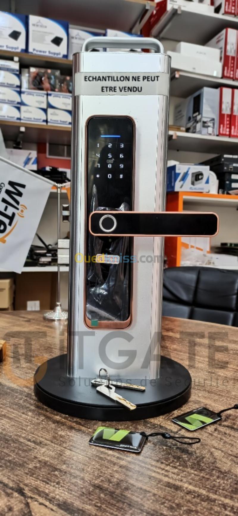 Modèle TZ100