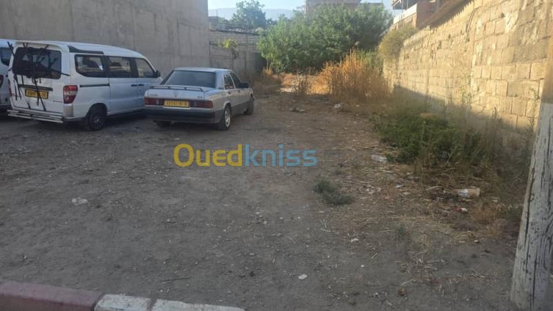 Vente Terrain Blida Guerrouaou