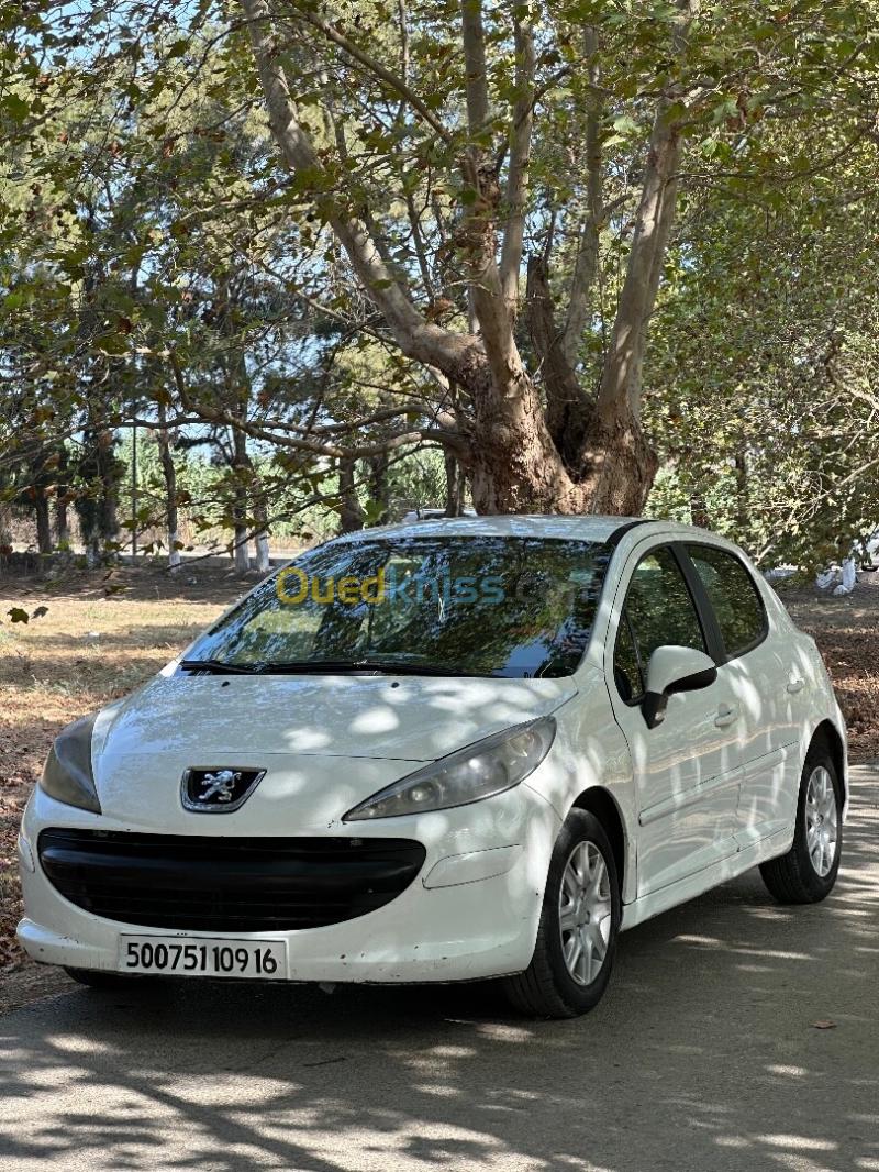 Peugeot 207 2009 207 3