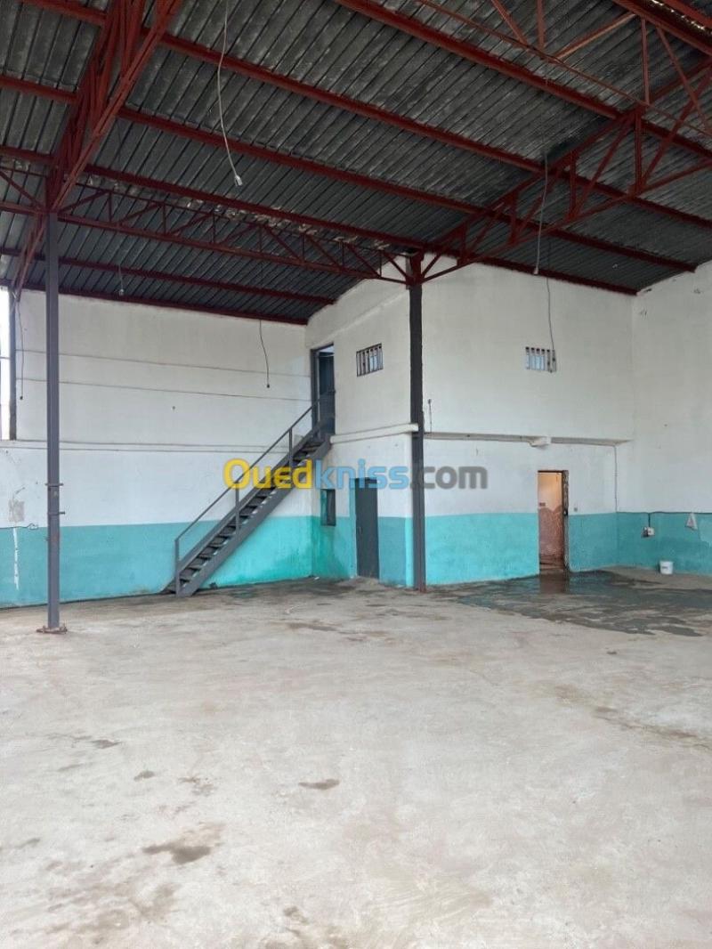 Location Hangar - Usine Alger Birtouta