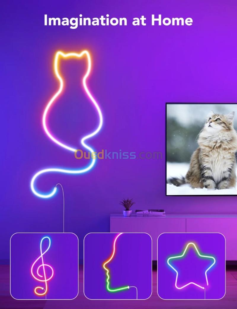GOVEE RGBIC LED NEON ROPE LIGHT - H61A0 - ENERGY CLASS - 3M 10FT - COLOR-MATCH - CONTRÔLE VOCAL +APP 2