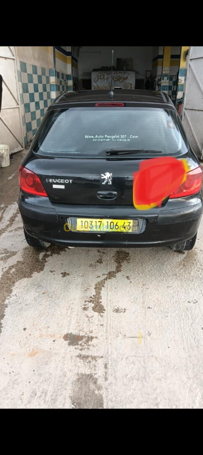 Peugeot 307 2006 XT 6