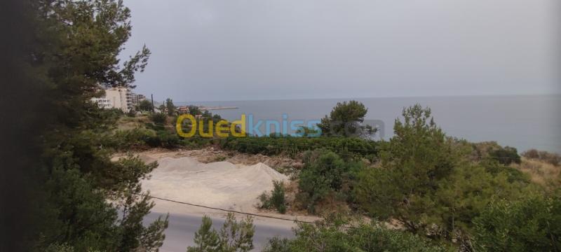 Location Appartement F3 Béjaïa Bejaia 5