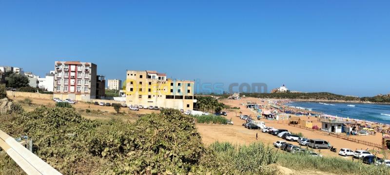 Vente Terrain Sétif El eulma 6