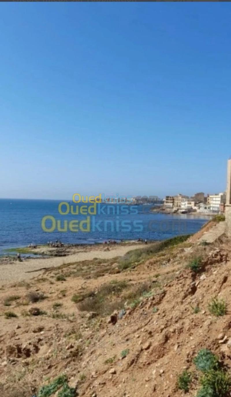 Location vacances Appartement Studio Alger Ain benian 29