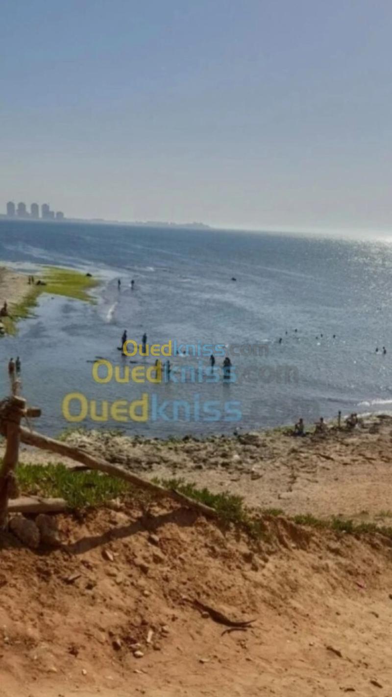 Location Appartement Niveau de villa Studio Alger Ain benian 28