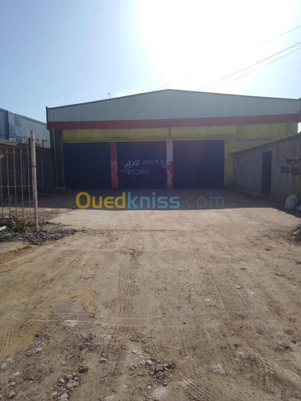  Location Hangar Chlef Oued sly
