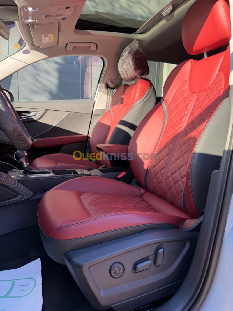 Audi Q2 2026 S Line 9