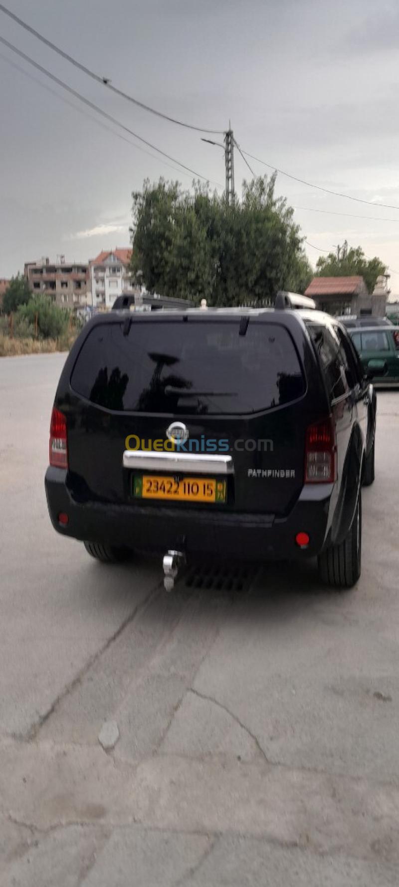 Nissan Pathfinder 2010 Pathfinder 6