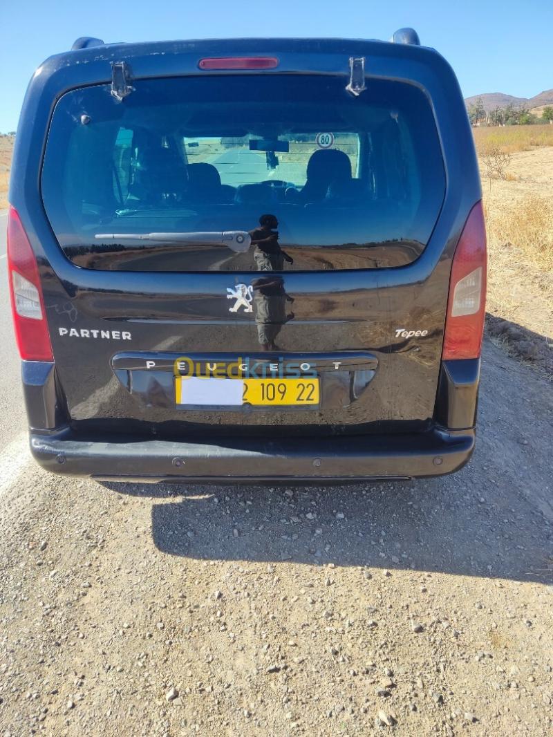Peugeot Teppe 2009  12
