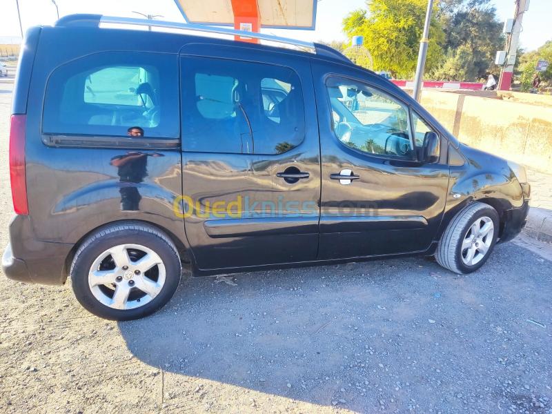 Peugeot Teppe 2009  3