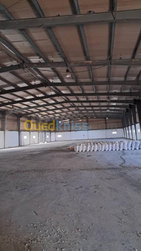  Location Hangar Oran Oued tlelat