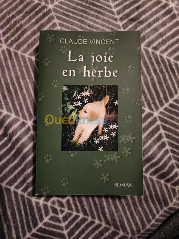  La joie en herbe / Livre, Roman, Claude Vincent