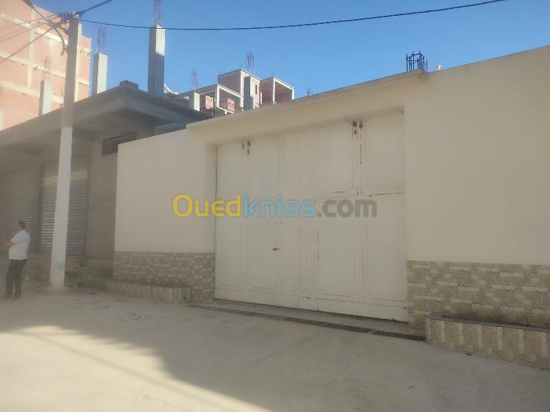 Vente Terrain Constantine El khroub