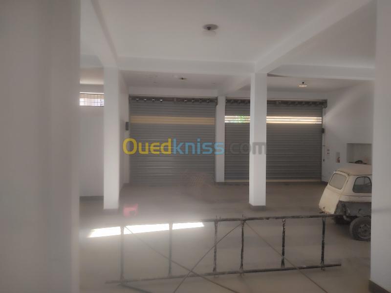 Vente Terrain Constantine El khroub 5