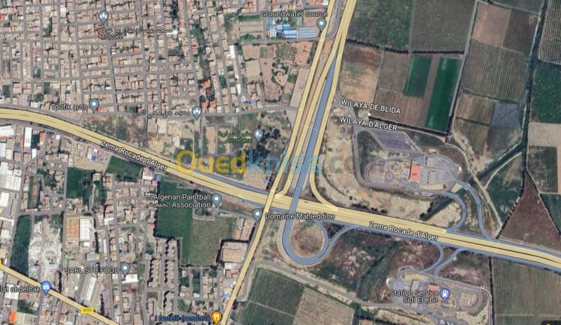 Vente Villa Alger Les eucalyptus 14