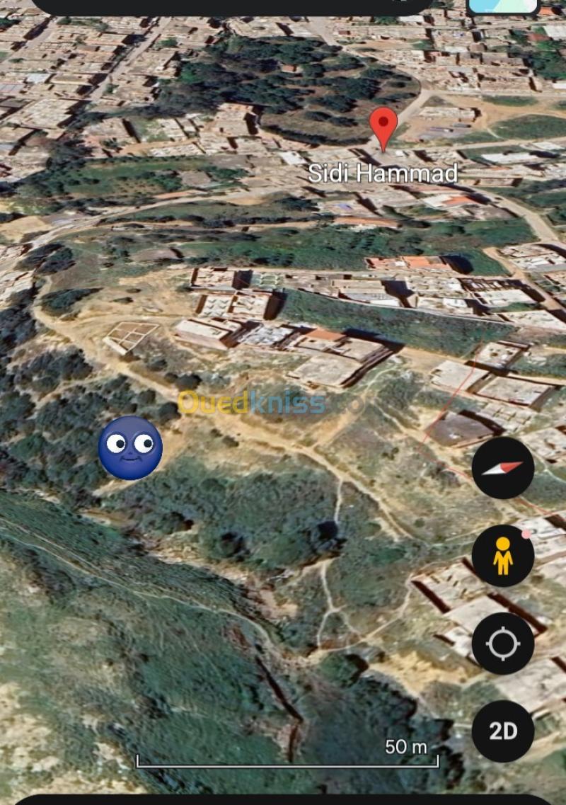 Location Terrain Blida Meftah 3
