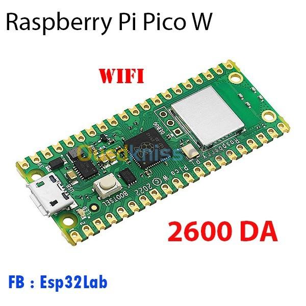  Raspberry Pi Pico