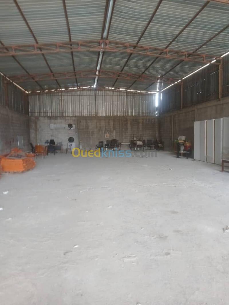 Location Hangar - Usine Skikda Skikda 4