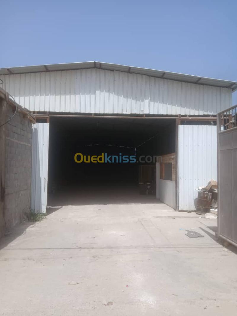 Location Hangar - Usine Skikda Skikda