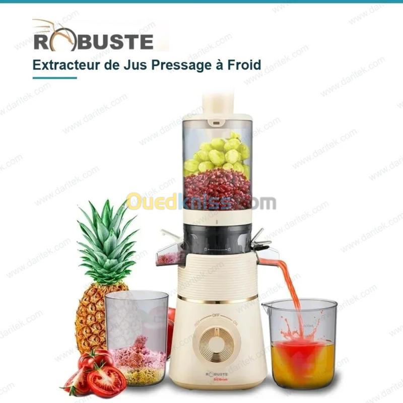 Extracteur de Jus Pressage à Froid 600 ml 100 W Robuste Bio Drink