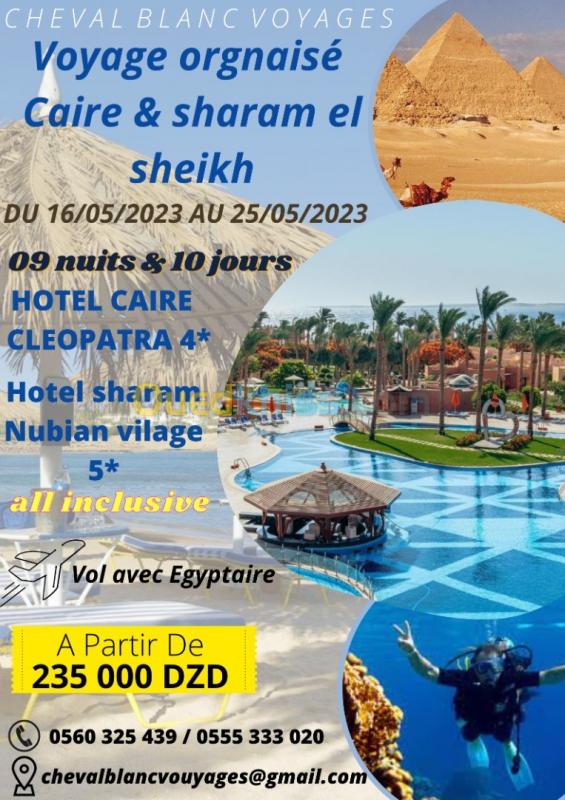  voyage organisée Caire Sharam sheikh mois mai / à seulement  235000 da