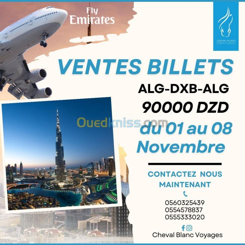  BIG PROMOTION EMIRATES FLY billet   ALGER - DUBAI 01/11 AU 08/11