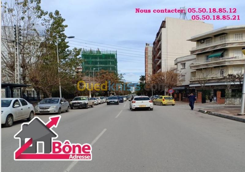 Location Appartement Niveau de villa F2 Annaba Annaba 2
