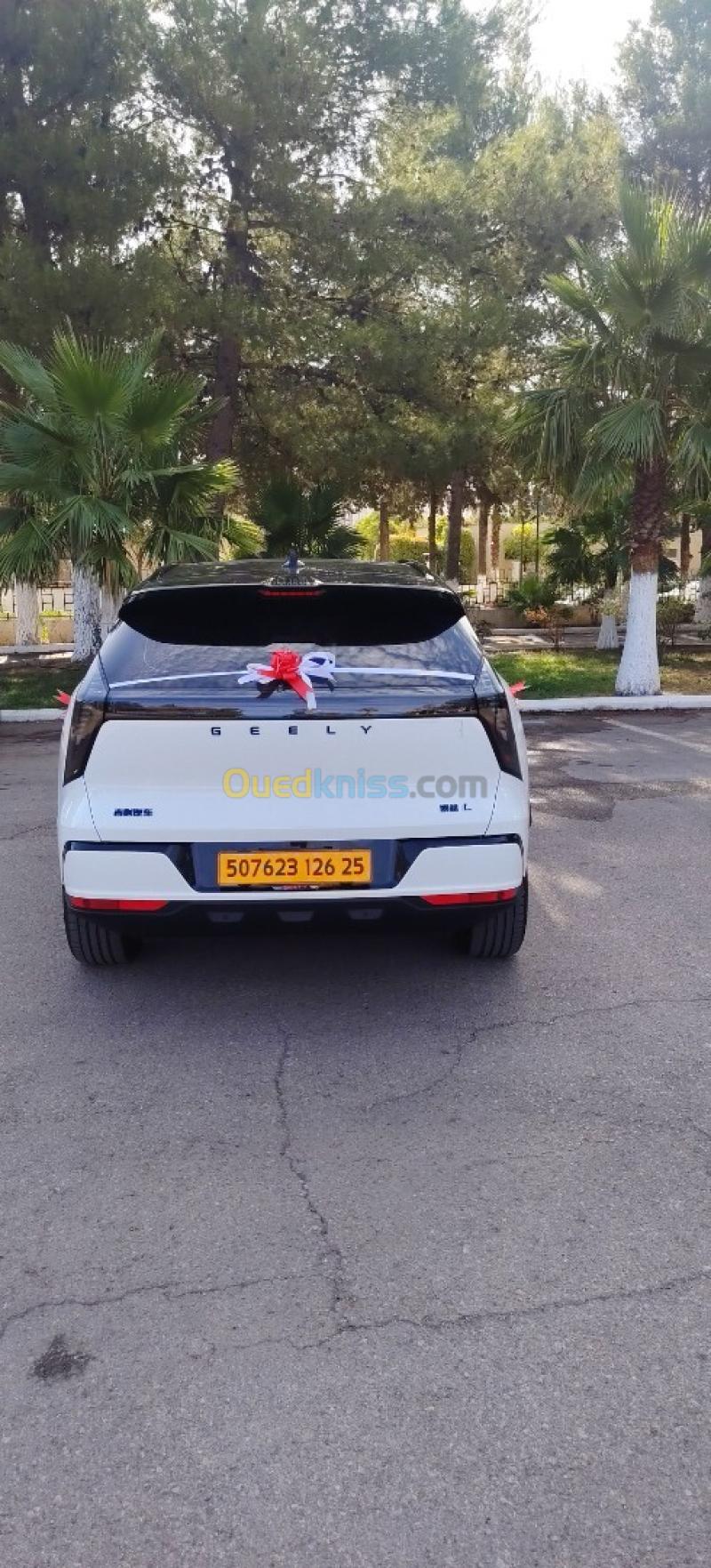 Geely Starray 2026 Flagship 4