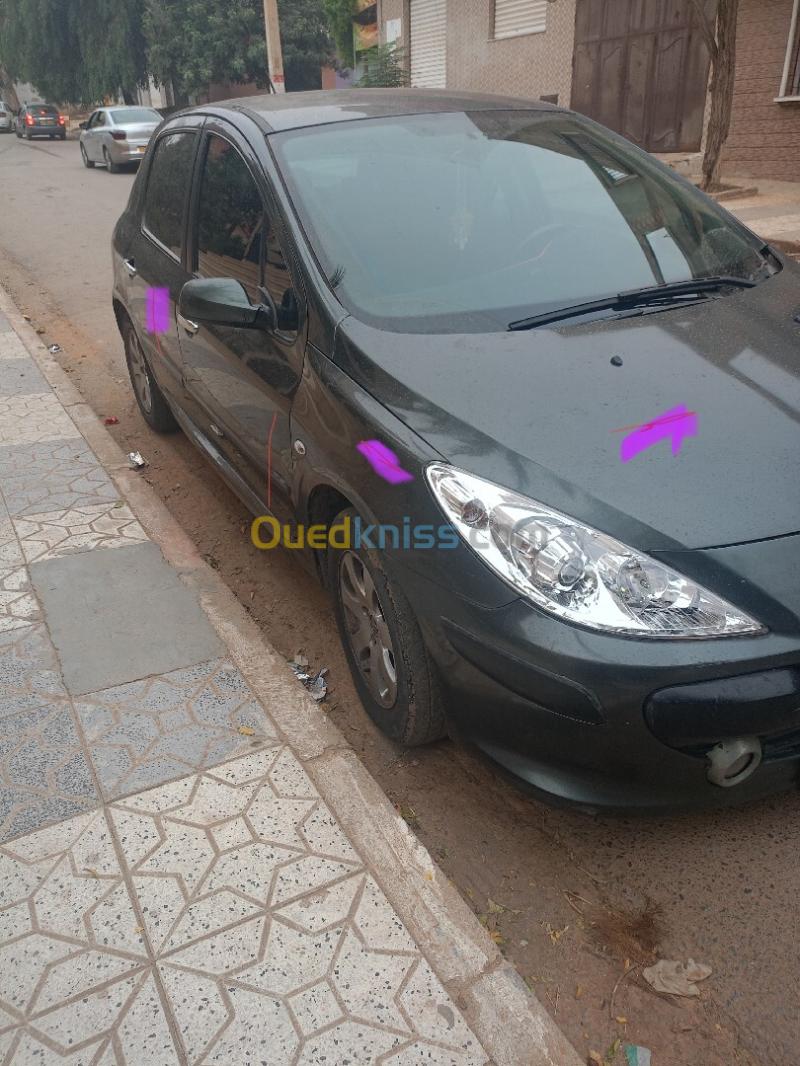 Peugeot 307 2007 Oxygo 2