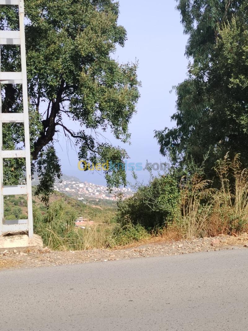 Vente Terrain Tizi Ouzou Tigzirt 9