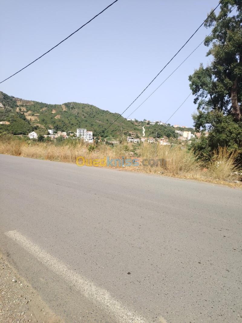Vente Terrain Tizi Ouzou Tigzirt 5